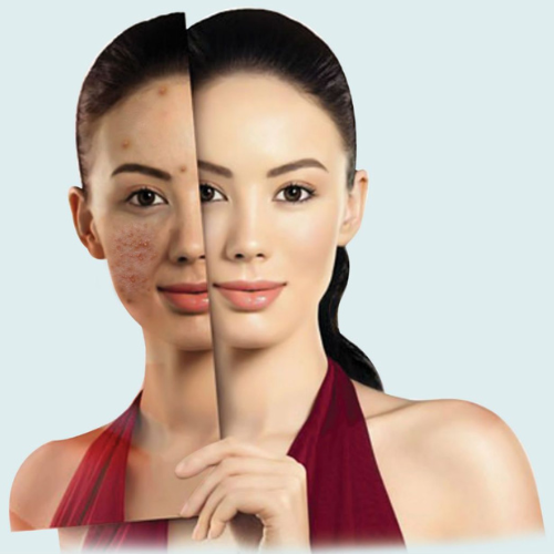 home untitled design (44)