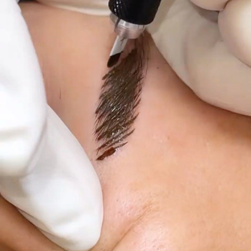 home untitled design (47)